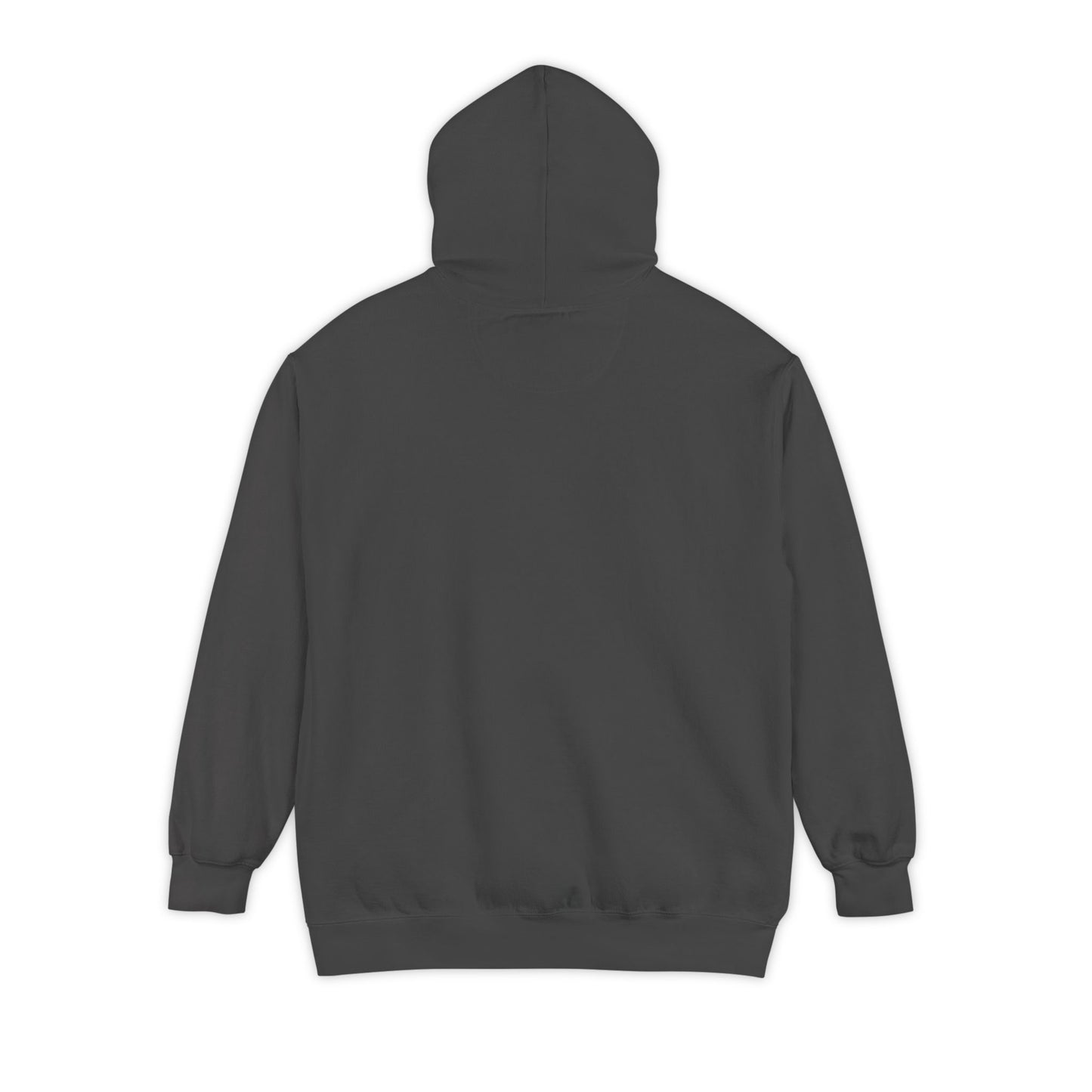 Don’t Worry I Googled It Hoodie | Funny Graphic Hooded Sweatshirt for Tech-Savvy & Gift Giving