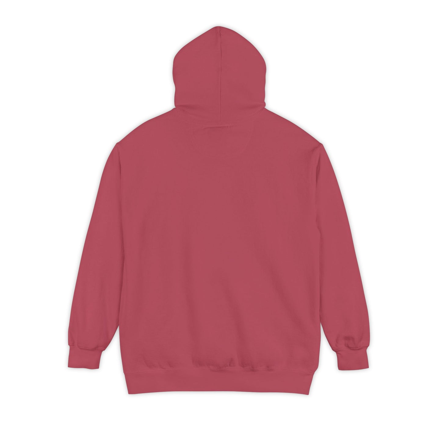 Don’t Worry I Googled It Hoodie | Funny Graphic Hooded Sweatshirt for Tech-Savvy & Gift Giving