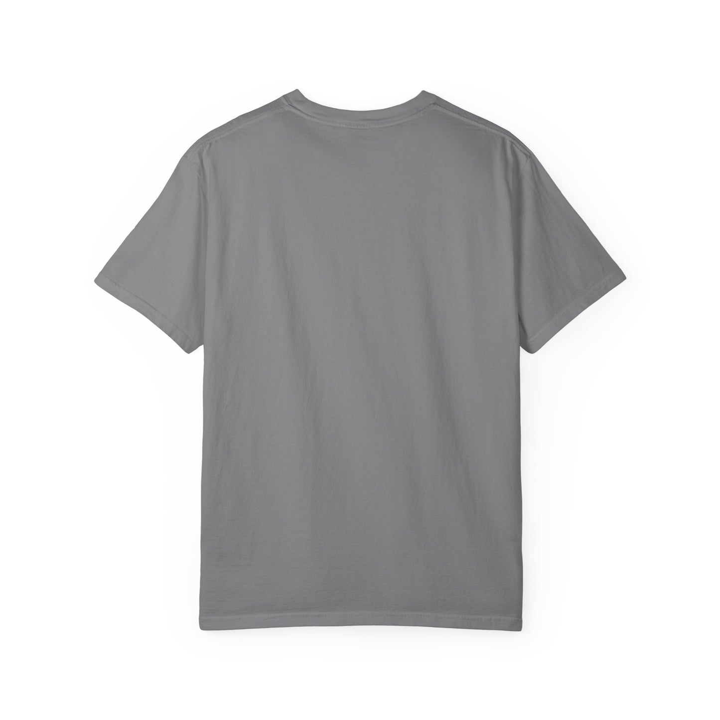Assistant Definition T-Shirt | Funny Assistant Gift Tee ("as·sis·tant" Dictionary Print)