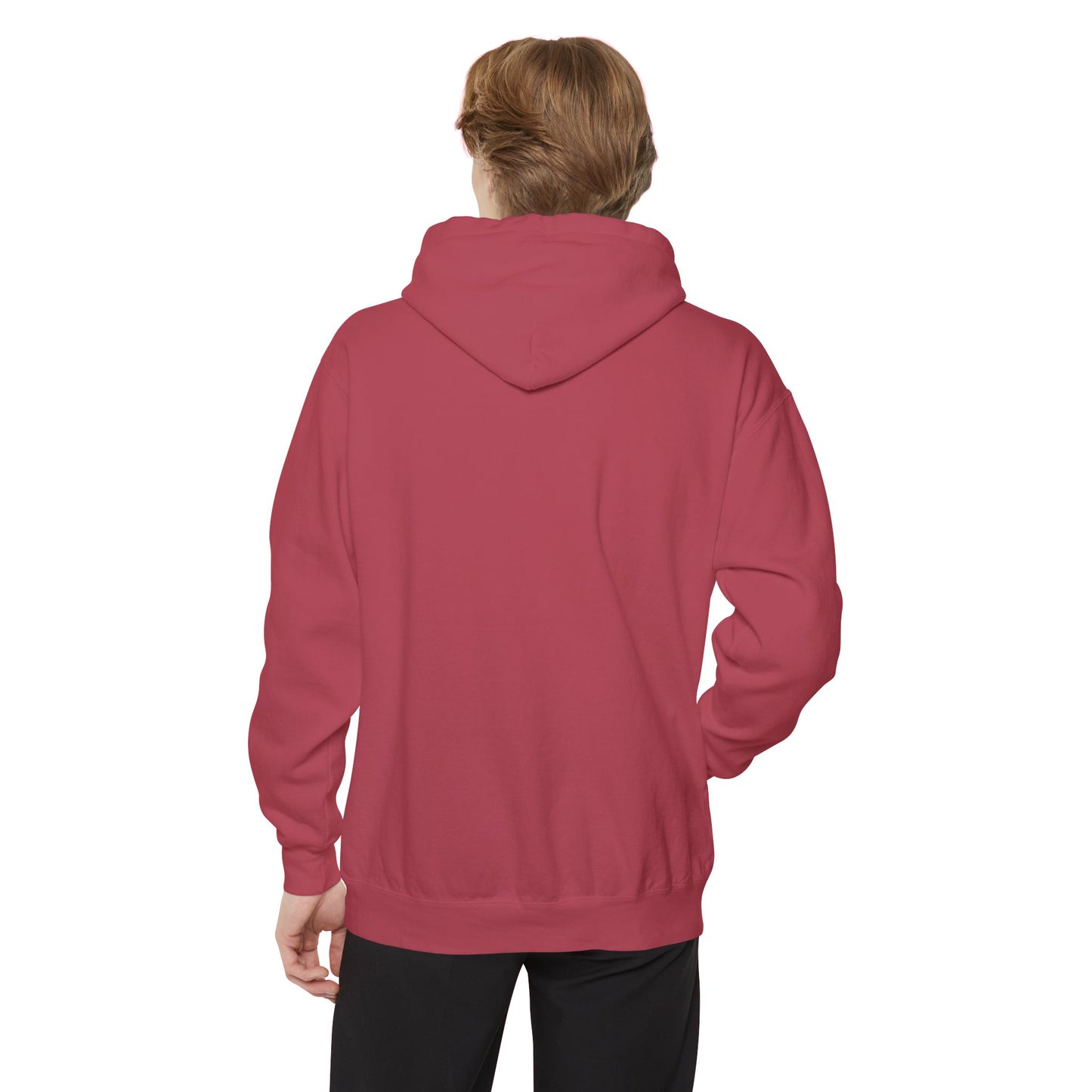 Don’t Worry I Googled It Hoodie | Funny Graphic Hooded Sweatshirt for Tech-Savvy & Gift Giving