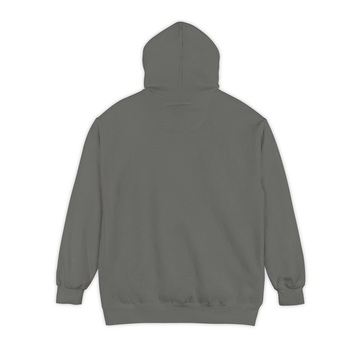 Don’t Worry I Googled It Hoodie | Funny Graphic Hooded Sweatshirt for Tech-Savvy & Gift Giving