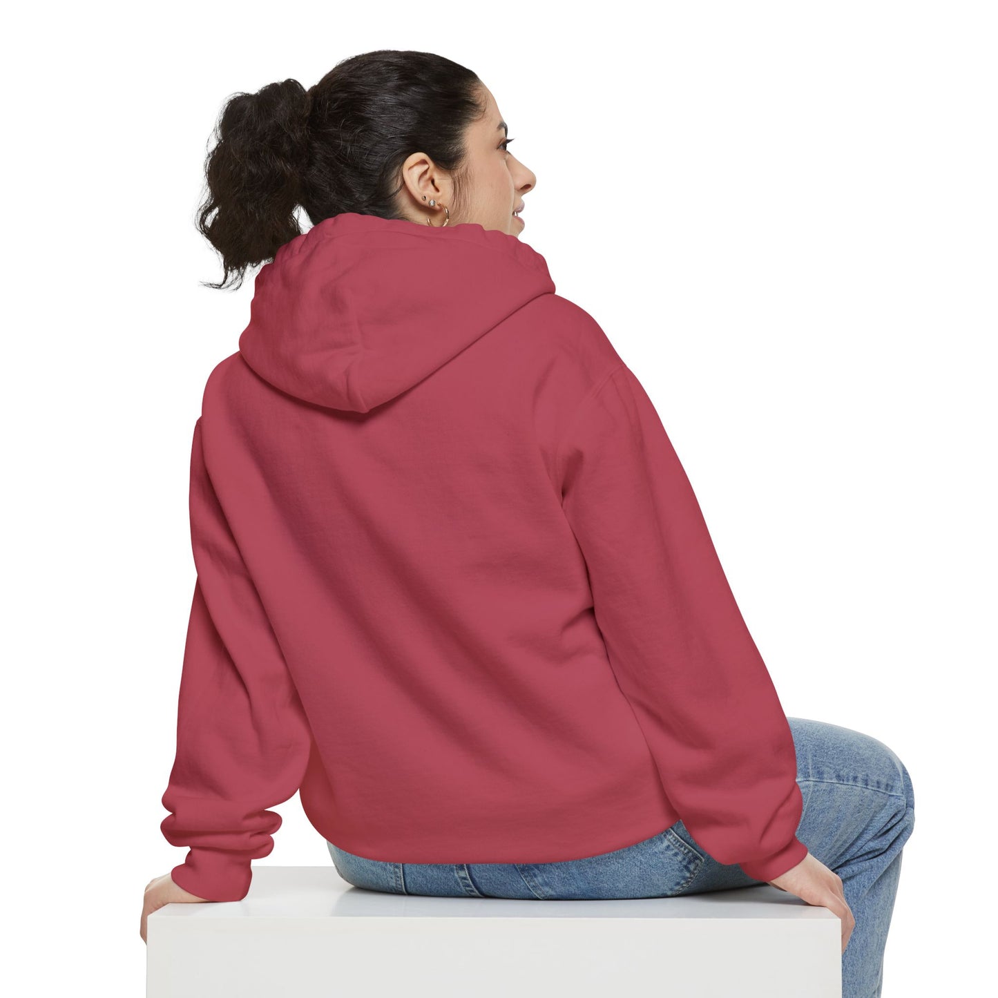 Don’t Worry I Googled It Hoodie | Funny Graphic Hooded Sweatshirt for Tech-Savvy & Gift Giving