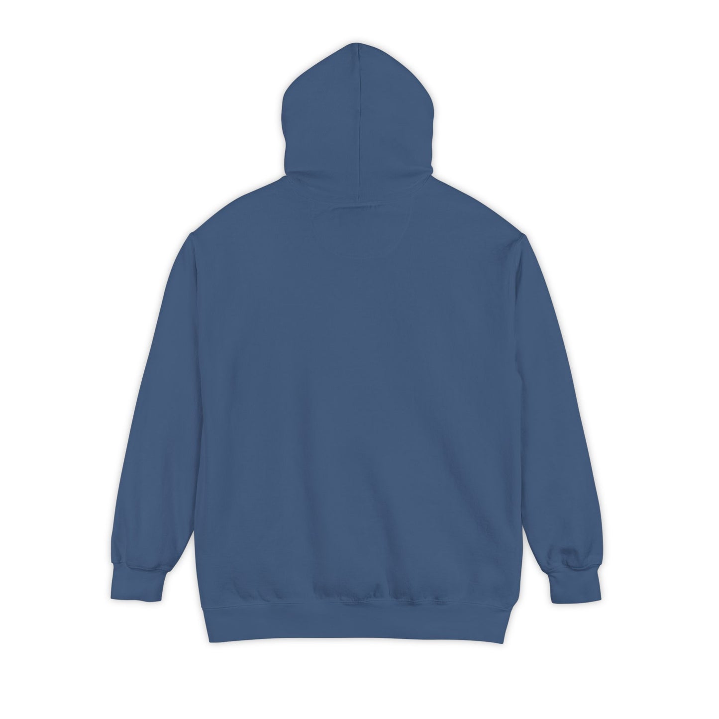 Don’t Worry I Googled It Hoodie | Funny Graphic Hooded Sweatshirt for Tech-Savvy & Gift Giving
