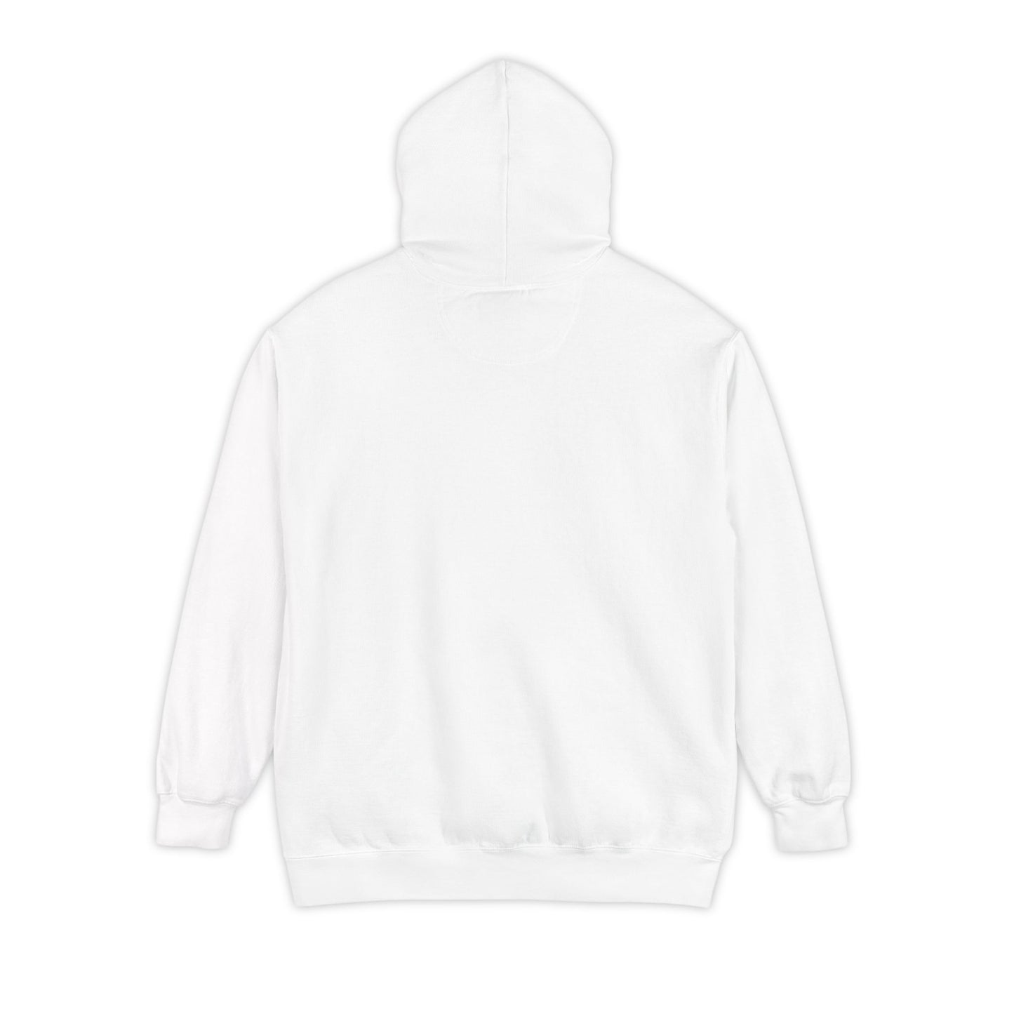 Assistant Definition Hoodie| Funny Assistant Gift Pullover